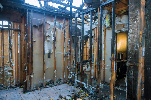 Professional Smoke Damage Removal technician working in Wyoming, OH